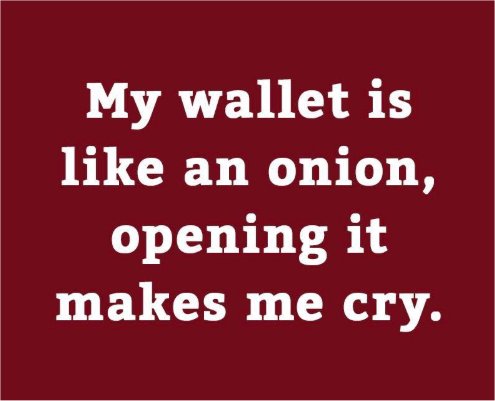 the onion majorgeeks2.jpg